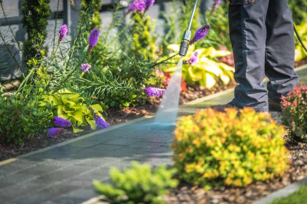 Best Sidewalk and Walkway Cleaning  in Tunica, MS